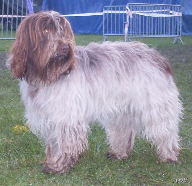  Goyave de la Vallee du Doux